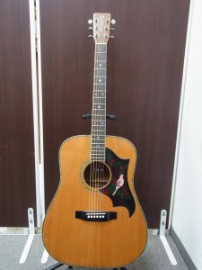 MORRISモーリス MD-520 アコースティックギター アコギ モーリス-MD